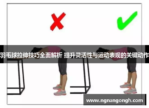 羽毛球拉伸技巧全面解析 提升灵活性与运动表现的关键动作